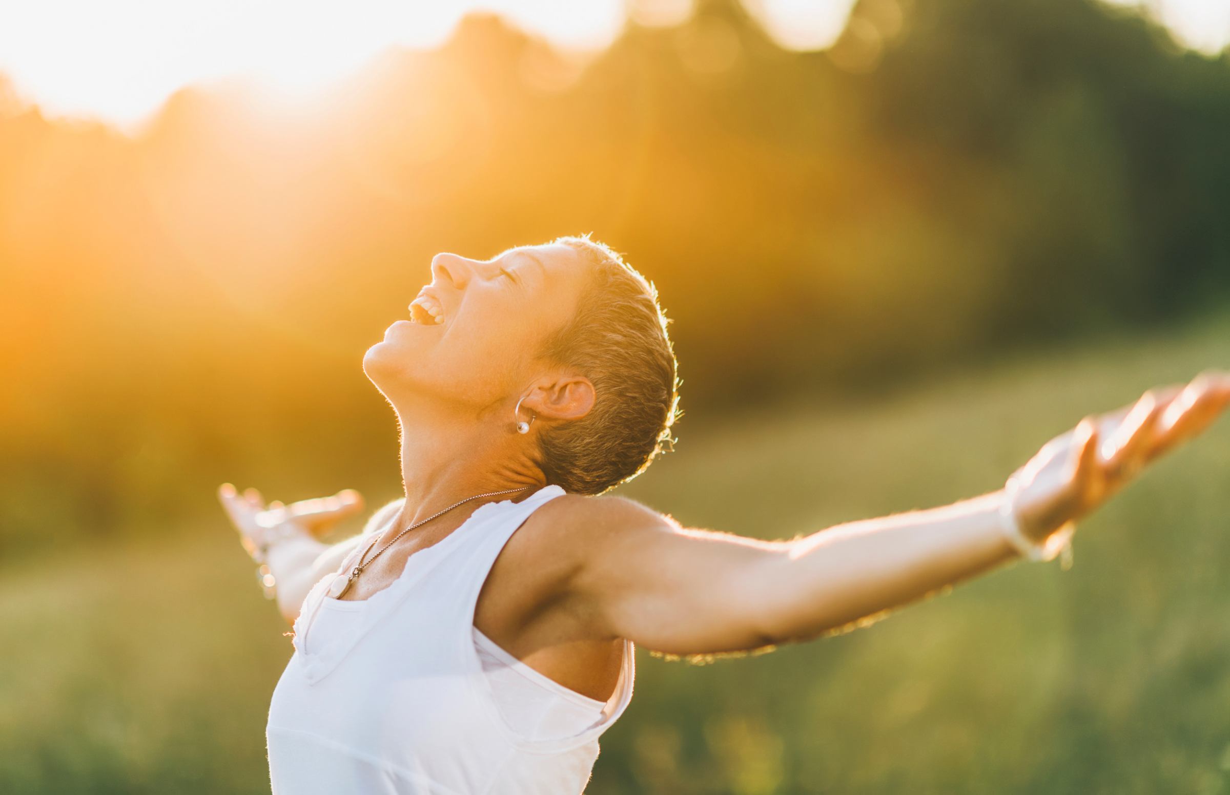 NMN-and-optimal-energy-levels