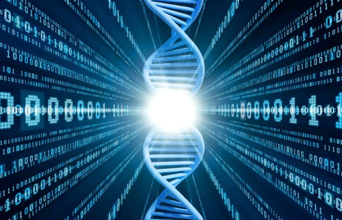 Genetics-longevity