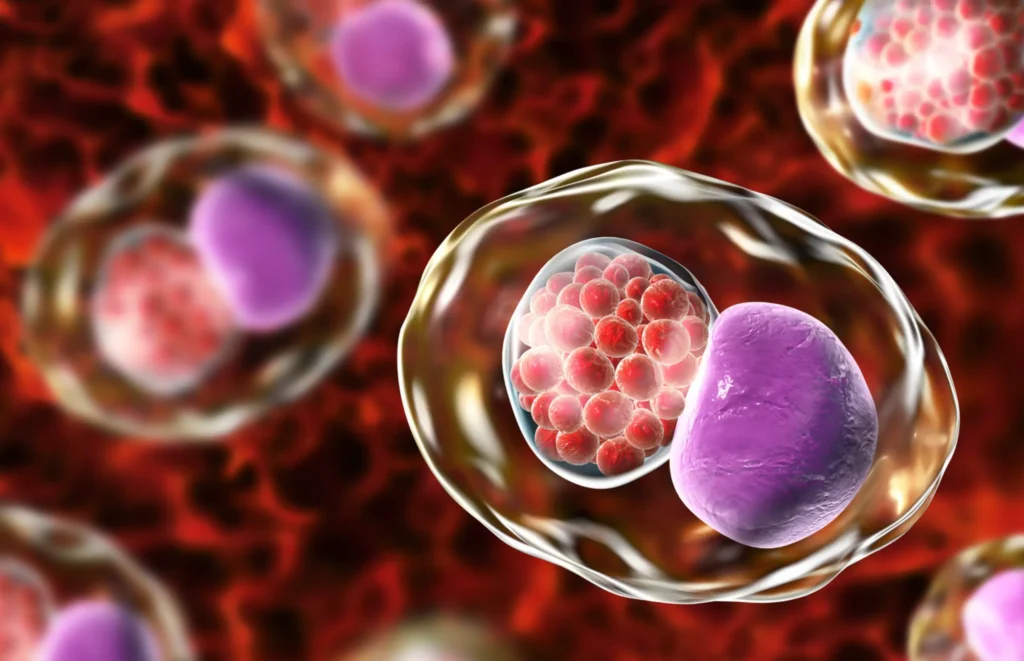 cellular health