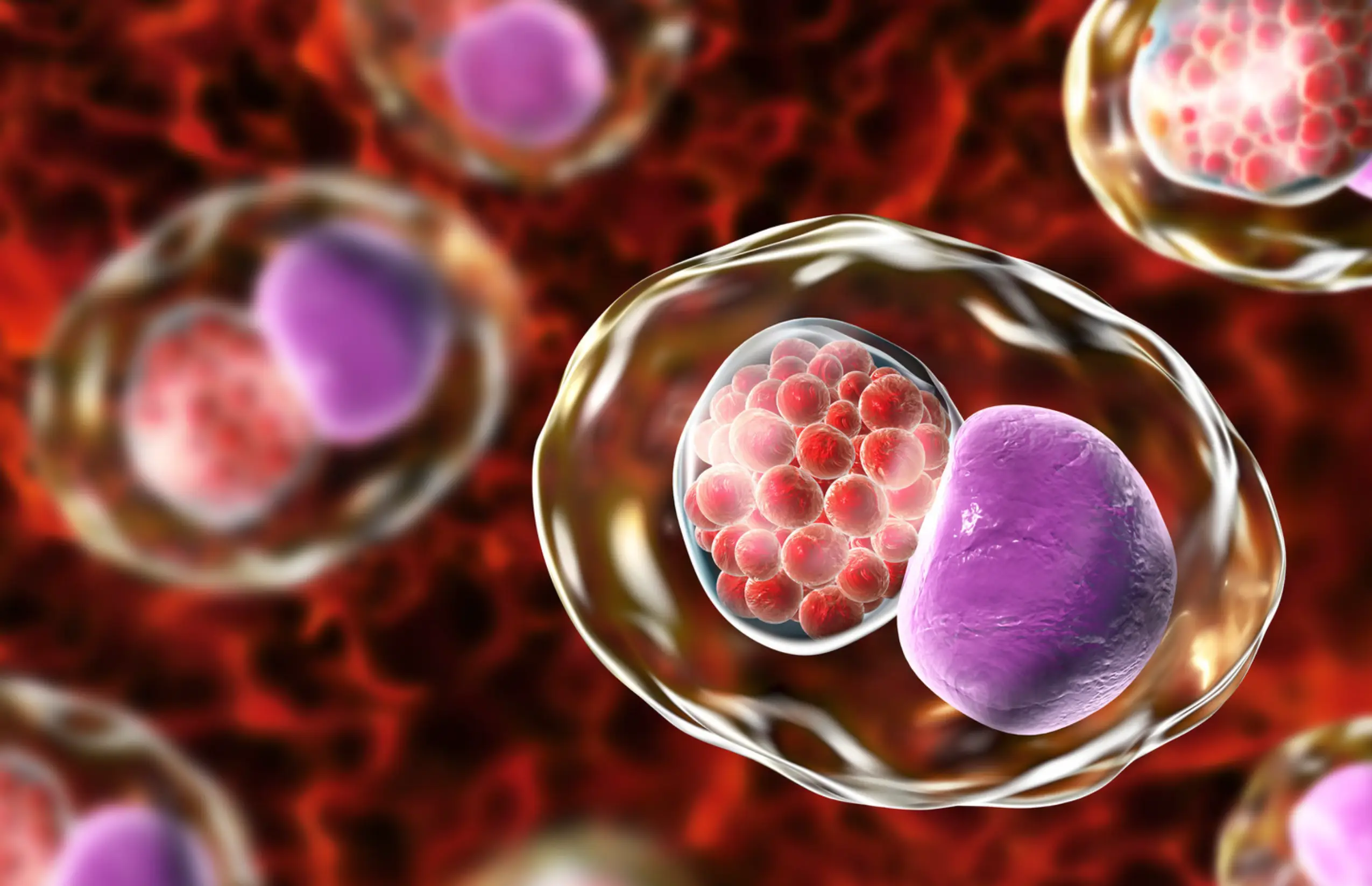 cellular health