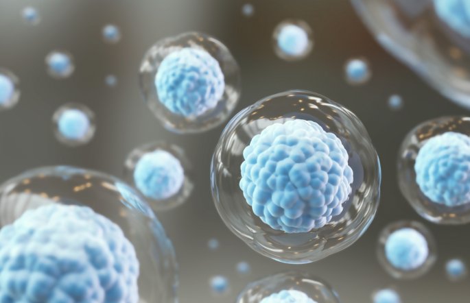 cellular-ageing